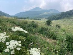 -白草畔自然风景区