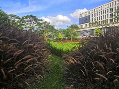 -深圳市人才园(深南大道店)