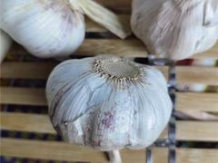 -翠景潮州美食(雅景苑店)