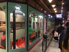 -猫咪博物馆(顶澳仔猫街店)