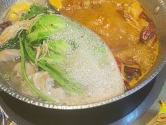 -手选潮汕鲜活牛肉火锅(二七广场店)