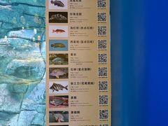 -欢乐海岸海洋奇梦馆