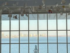 -朵云书院(滴水湖店)