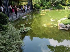 -云溪植物园