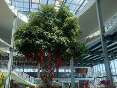 -南通洲际绿博园