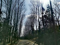 -宜兴龙背山森林公园