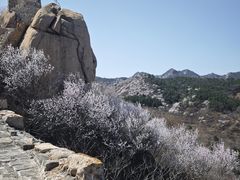 -龙泉峪长城