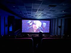 -华美国际影城(旧宫永辉店)