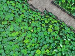 -清漾毛氏文化村