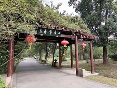 -鹅湖玫瑰文化园