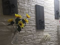 -琴芳艺所艺术培训.古筝钢琴