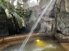 -海口观澜湖火山温泉谷