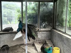 -水绘园