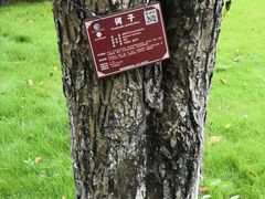 -广西壮族自治区药用植物园