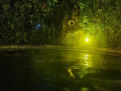 -河源客天下-温泉小镇