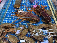 -锦绣大地生鲜食品厅