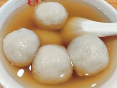 -海丝金凤(金鱼店)