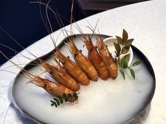 -桂满陇·海市蜃楼·黑金(国金店)