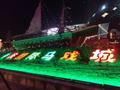 -重庆国际马戏城
