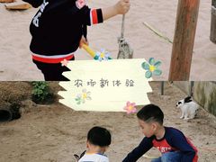 -前小桔亲子创意农场·草莓采摘·露营烧烤