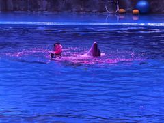 -华夏文旅西安度假区