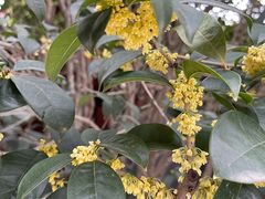 -西安华清御汤酒店