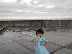 -南汇嘴观海公园