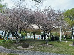 -七宝老街-闵行市民文化广场