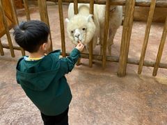 -杭州开元森泊度假乐园