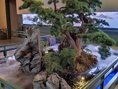 -潮上潮(南中环店)