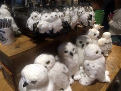 -九又四分之三站台哈利波特商店