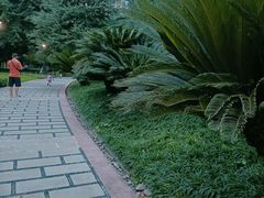 -龙头寺公园