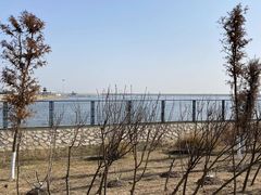 -鹦鹉洲湿地公园