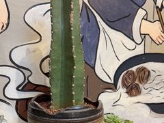 -节节香.成都非遗肥肠粉(总店)
