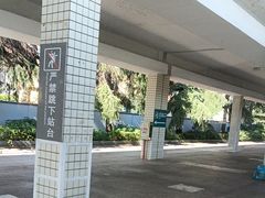 -岳阳站