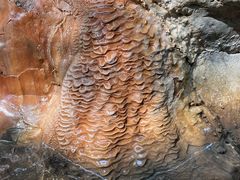 -广州锦绣香江度假别墅