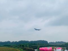 -空港花田景区