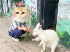 -西霞口神雕山野生动物世界