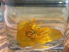 -一盏明灯全素斋(殊像寺店)