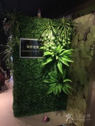 -藤野造型·专业烫染店