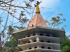 -顺峰山公园