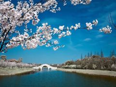 -上海海湾国家森林公园