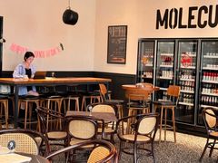 -MOLECULECOFFEE.MANDO 莫勒喝咖啡