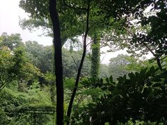 -上海佘山国家森林公园西佘山园