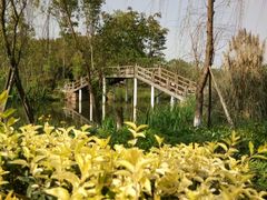 -白鹭湾湿地公园