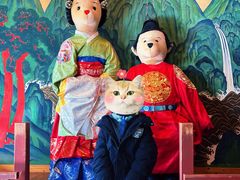 -济州岛泰迪熊博物馆