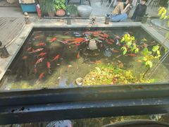 -野蔓果·山野菜(西湖景区·龙井茶田店)