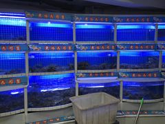 -黄记大闸蟹专卖店·活蟹·醉蟹