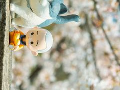-苏州上方山国家森林公园