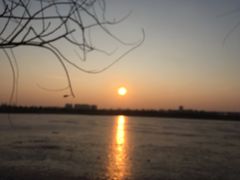 -绿堤公园